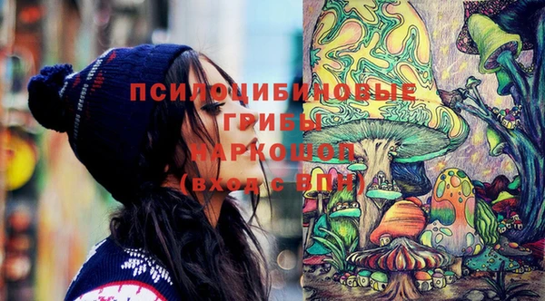 ешки Богородицк